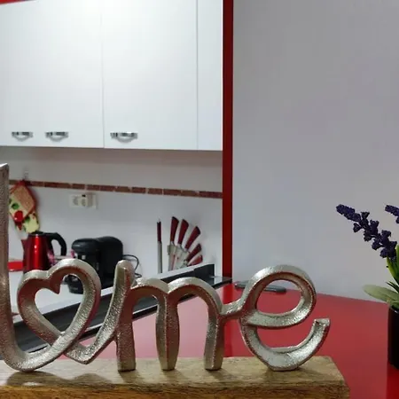 Delfin - 100m De La Plaja