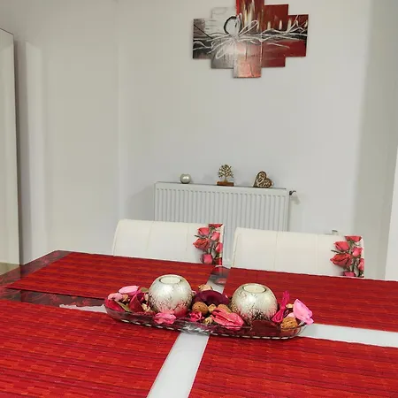 Delfin - 100m De La Plaja