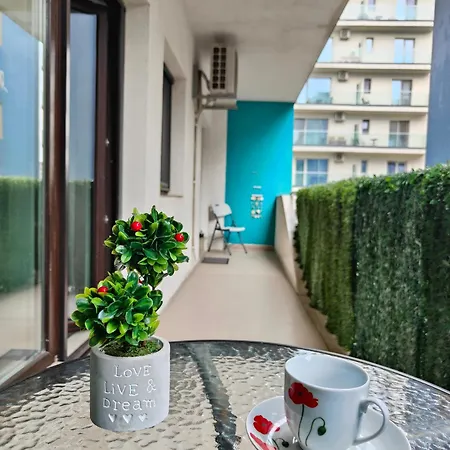 Delfin - 100m De La Plaja